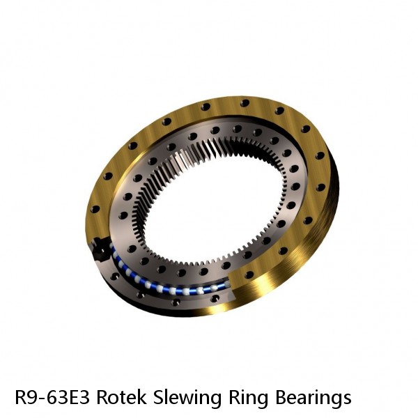 R9-63E3 Rotek Slewing Ring Bearings