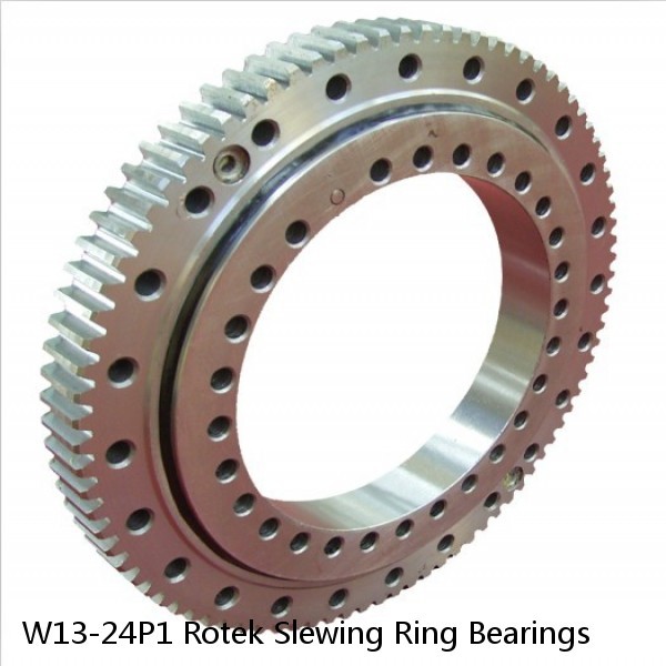 W13-24P1 Rotek Slewing Ring Bearings