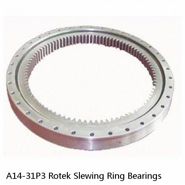 A14-31P3 Rotek Slewing Ring Bearings