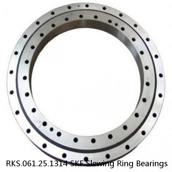 RKS.061.25.1314 SKF Slewing Ring Bearings