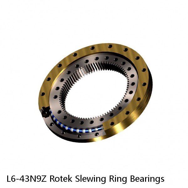 L6-43N9Z Rotek Slewing Ring Bearings