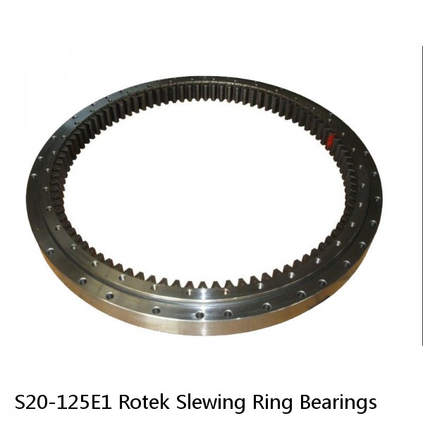 S20-125E1 Rotek Slewing Ring Bearings