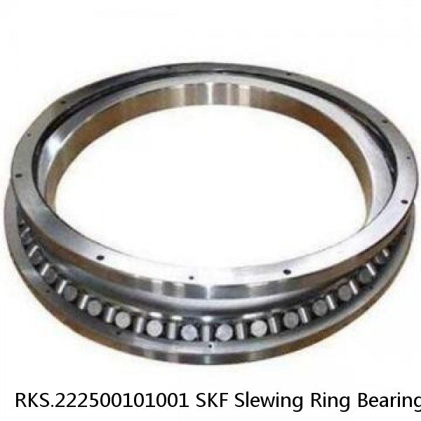 RKS.222500101001 SKF Slewing Ring Bearings #1 small image