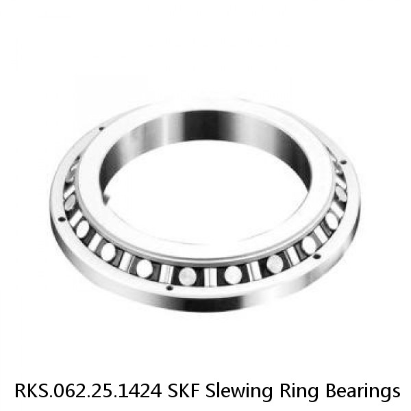 RKS.062.25.1424 SKF Slewing Ring Bearings #1 small image