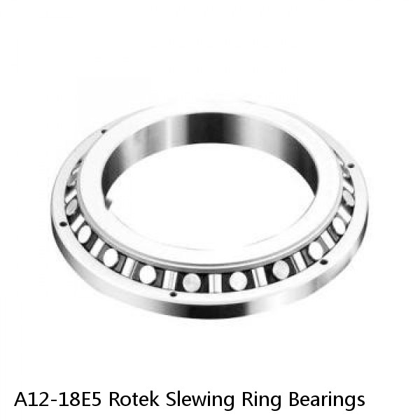 A12-18E5 Rotek Slewing Ring Bearings #1 small image