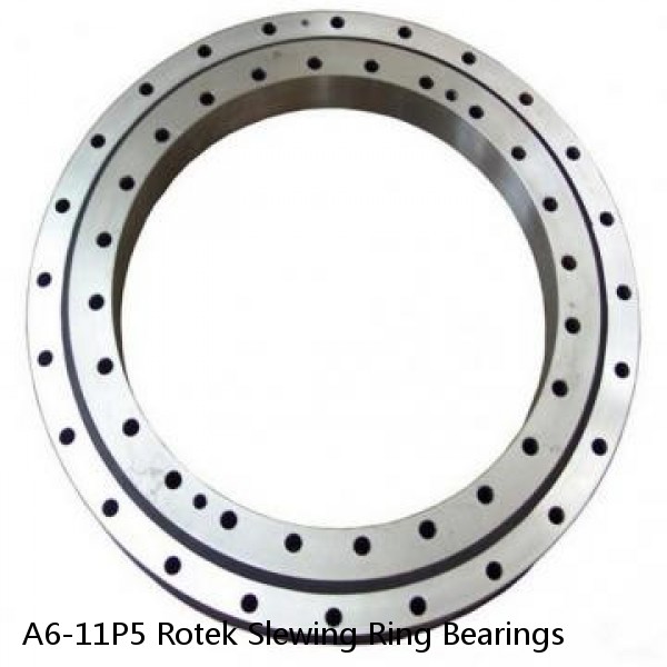 A6-11P5 Rotek Slewing Ring Bearings #1 small image