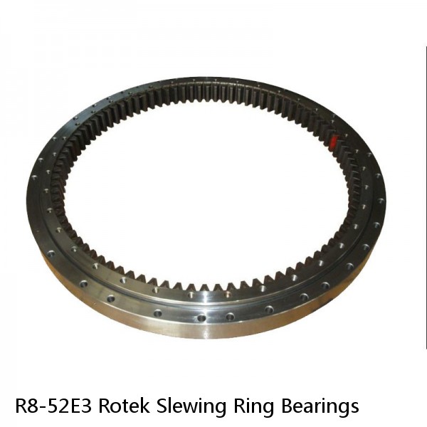 R8-52E3 Rotek Slewing Ring Bearings