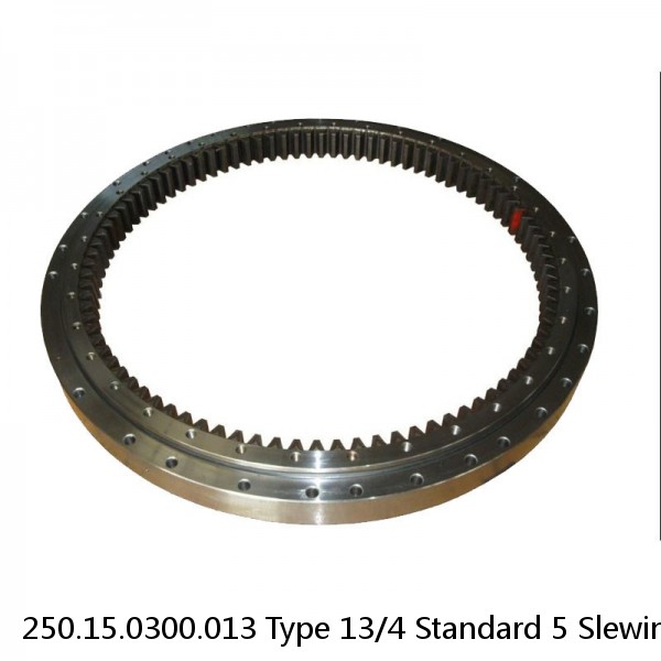 250.15.0300.013 Type 13/4 Standard 5 Slewing Ring Bearings