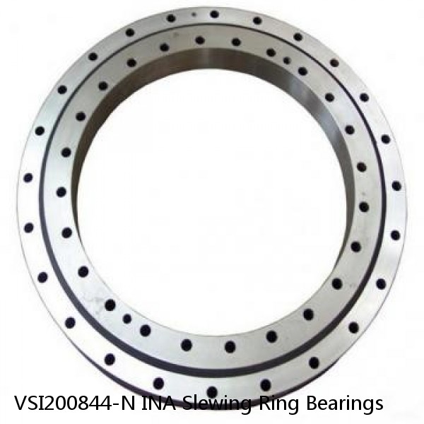 VSI200844-N INA Slewing Ring Bearings #1 small image