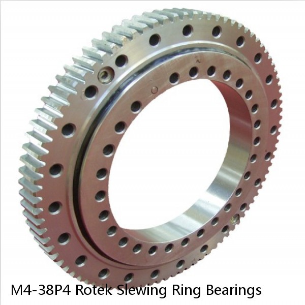 M4-38P4 Rotek Slewing Ring Bearings #1 image