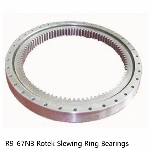 R9-67N3 Rotek Slewing Ring Bearings #1 image