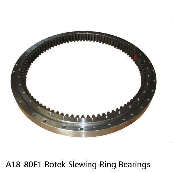 A18-80E1 Rotek Slewing Ring Bearings #1 image