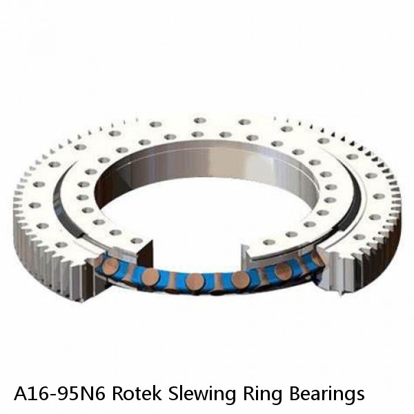 A16-95N6 Rotek Slewing Ring Bearings #1 image