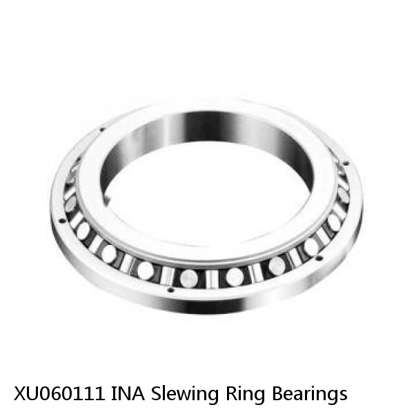 XU060111 INA Slewing Ring Bearings #1 image