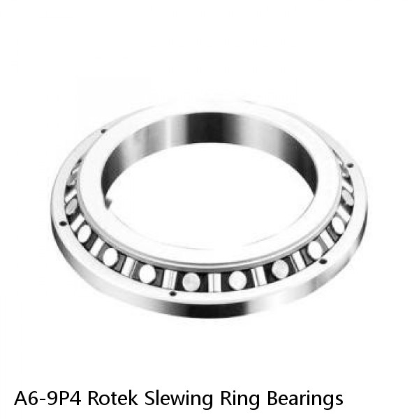 A6-9P4 Rotek Slewing Ring Bearings #1 image