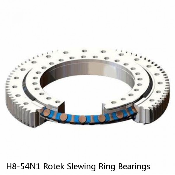 H8-54N1 Rotek Slewing Ring Bearings #1 image