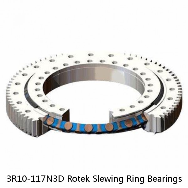 3R10-117N3D Rotek Slewing Ring Bearings #1 image