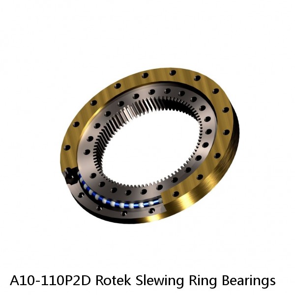 A10-110P2D Rotek Slewing Ring Bearings #1 image