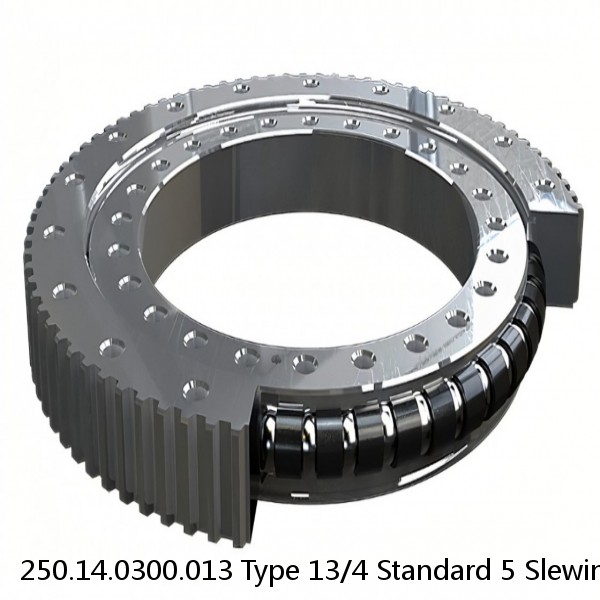 250.14.0300.013 Type 13/4 Standard 5 Slewing Ring Bearings #1 image