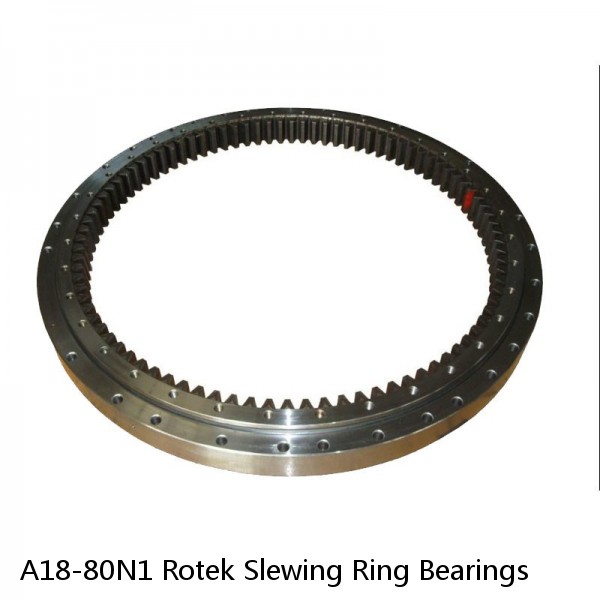 A18-80N1 Rotek Slewing Ring Bearings #1 image