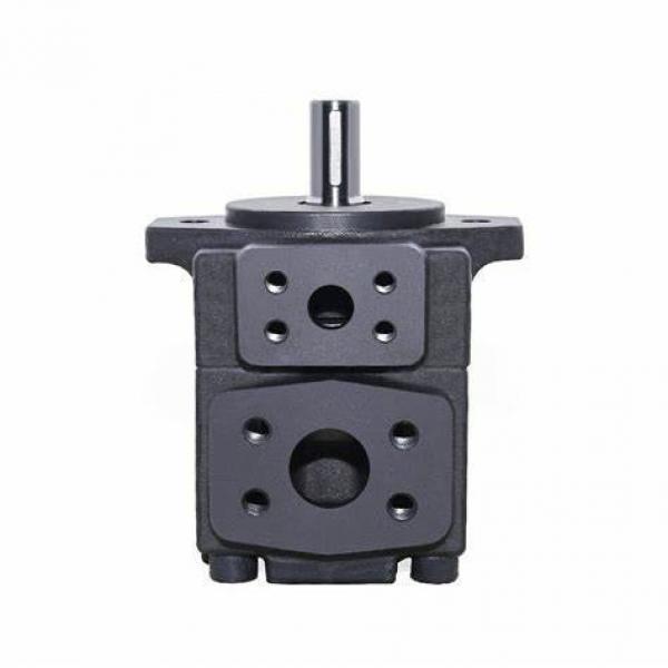 High Quality Yuken PV2r Series Hydraulic Double Vane Pump (PV2R12) #1 image