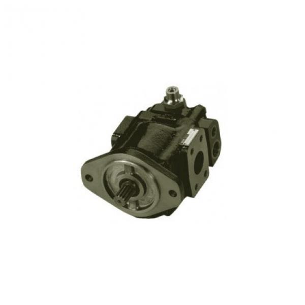 Parker PGP620 High Pressure Cast Iron Gear Pump 7029215001 #1 image