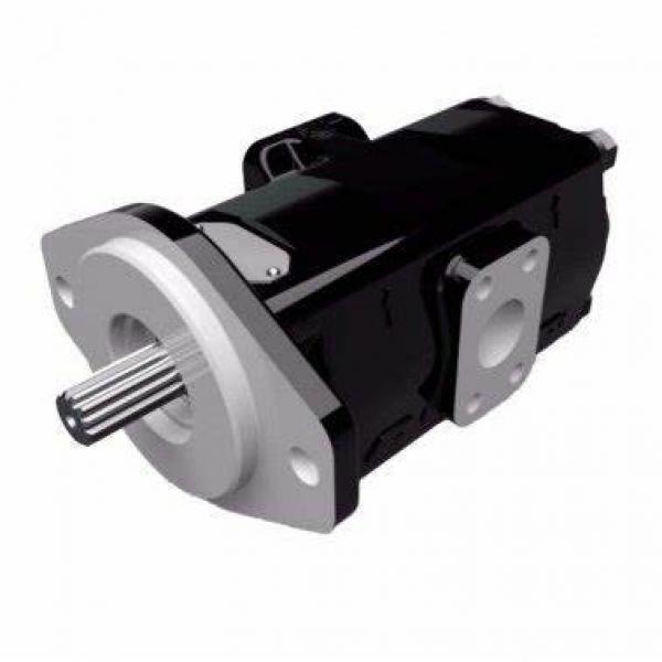 Parker Commercial P75 P76 Gear Pump #1 image