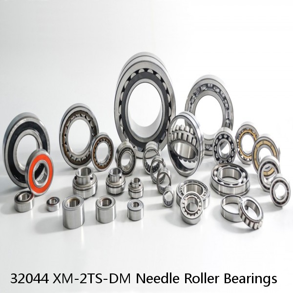 32044 XM-2TS-DM Needle Roller Bearings #1 image