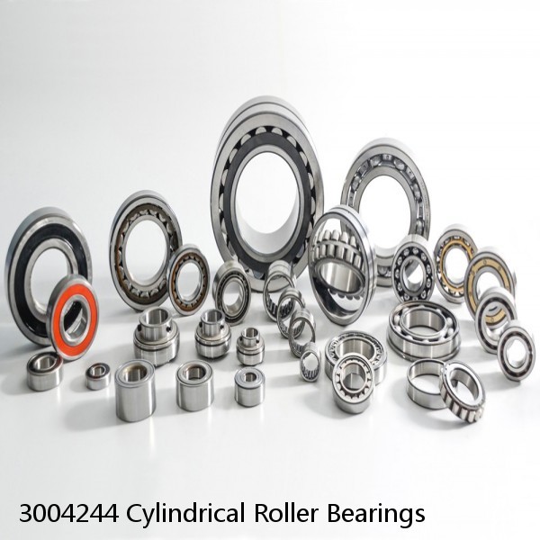 3004244 Cylindrical Roller Bearings #1 image