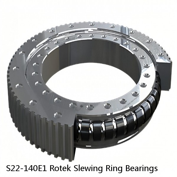 S22-140E1 Rotek Slewing Ring Bearings #1 image