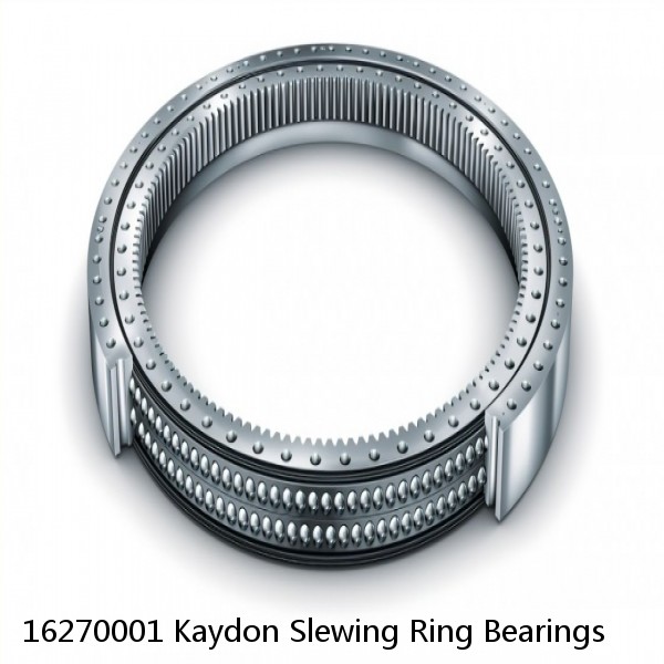 16270001 Kaydon Slewing Ring Bearings #1 image