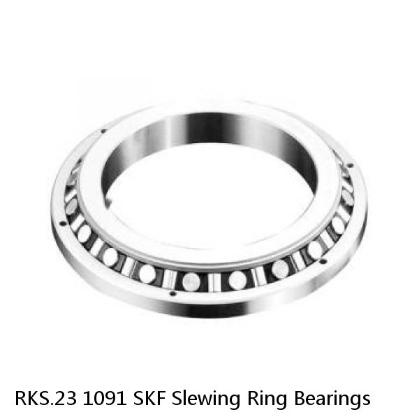 RKS.23 1091 SKF Slewing Ring Bearings #1 image