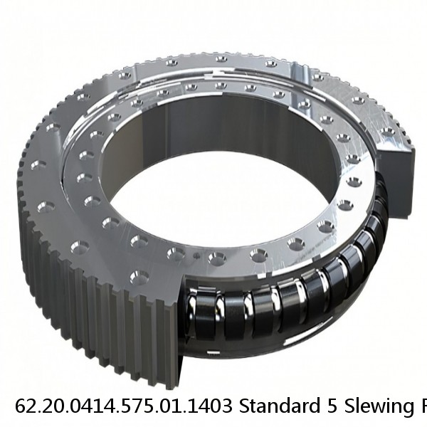 62.20.0414.575.01.1403 Standard 5 Slewing Ring Bearings #1 image