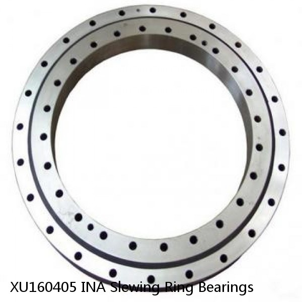 XU160405 INA Slewing Ring Bearings #1 image