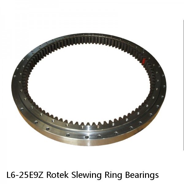 L6-25E9Z Rotek Slewing Ring Bearings #1 image