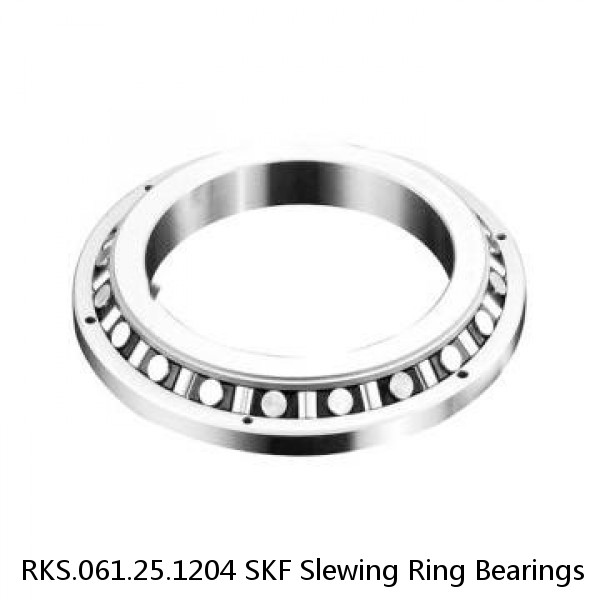 RKS.061.25.1204 SKF Slewing Ring Bearings #1 image