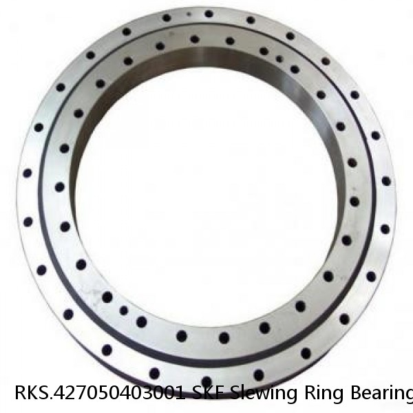 RKS.427050403001 SKF Slewing Ring Bearings #1 image