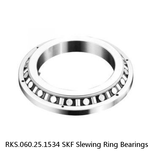 RKS.060.25.1534 SKF Slewing Ring Bearings #1 image