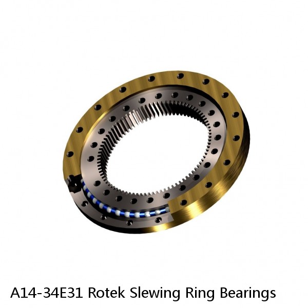 A14-34E31 Rotek Slewing Ring Bearings #1 image