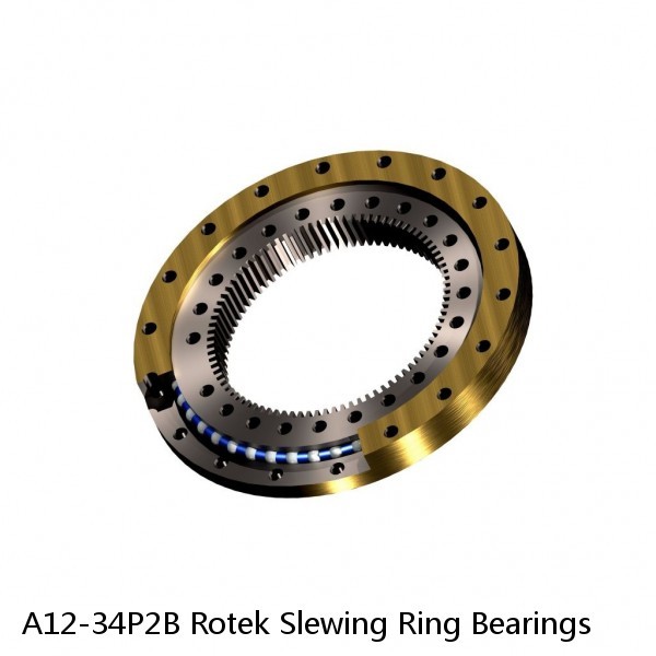 A12-34P2B Rotek Slewing Ring Bearings #1 image