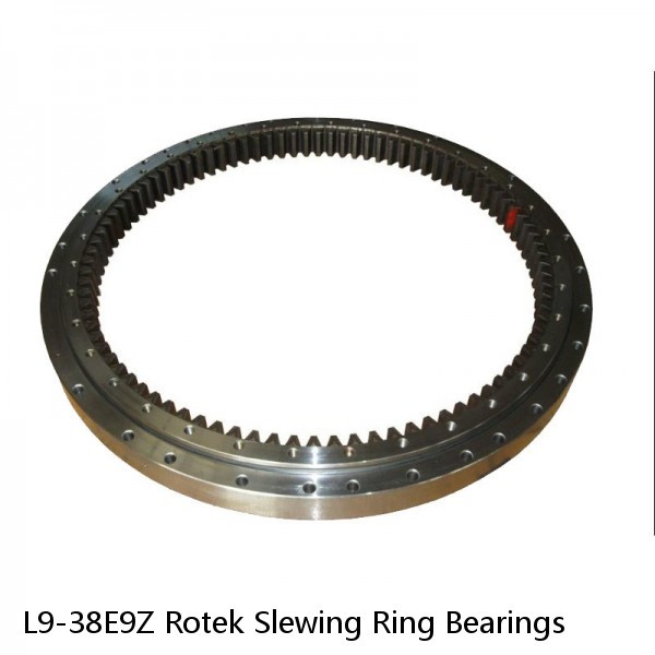 L9-38E9Z Rotek Slewing Ring Bearings #1 image