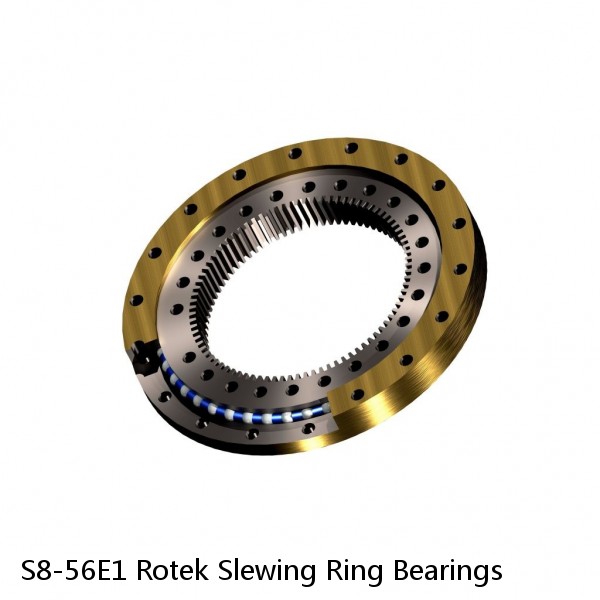 S8-56E1 Rotek Slewing Ring Bearings #1 image