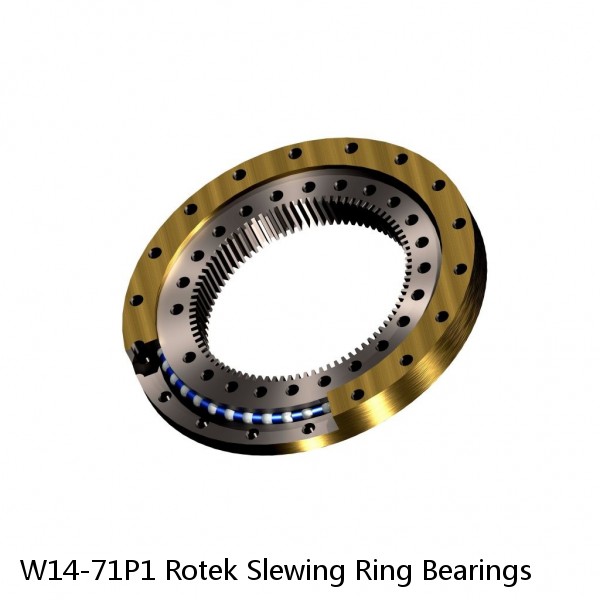 W14-71P1 Rotek Slewing Ring Bearings #1 image