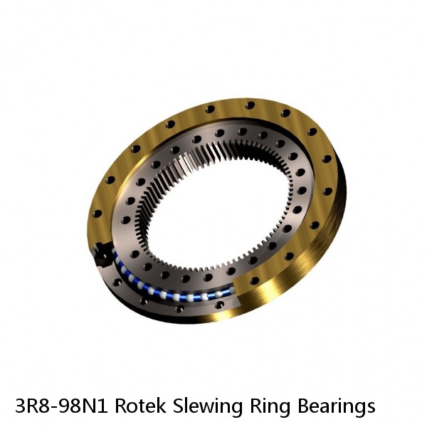 3R8-98N1 Rotek Slewing Ring Bearings #1 image