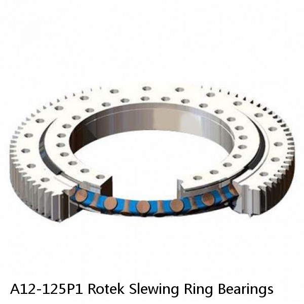 A12-125P1 Rotek Slewing Ring Bearings #1 image