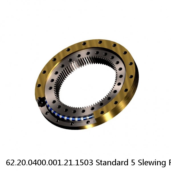 62.20.0400.001.21.1503 Standard 5 Slewing Ring Bearings #1 image