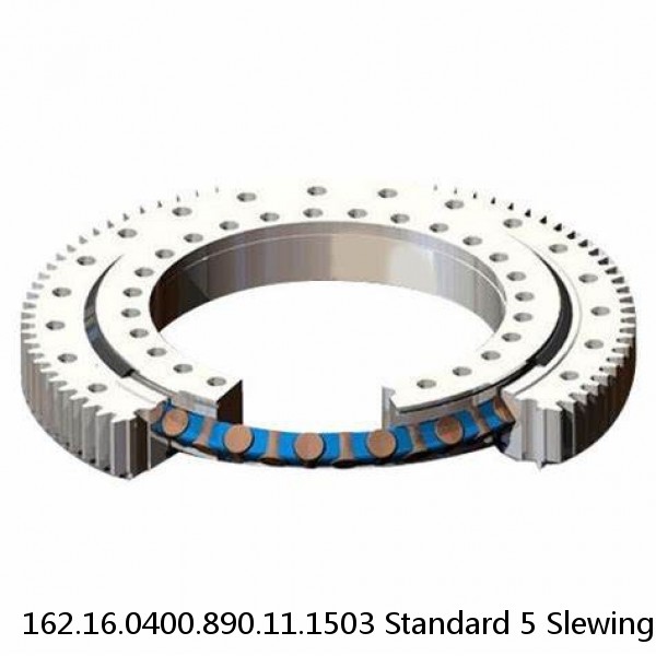 162.16.0400.890.11.1503 Standard 5 Slewing Ring Bearings #1 image