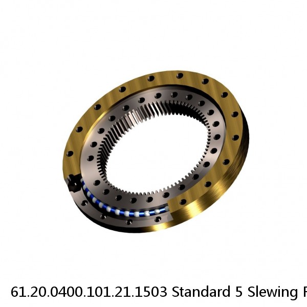 61.20.0400.101.21.1503 Standard 5 Slewing Ring Bearings #1 image